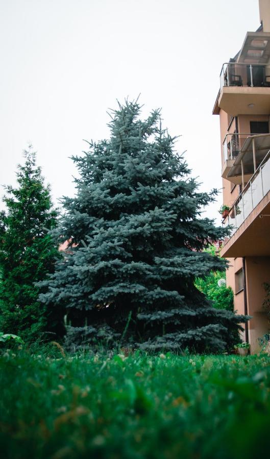 Holiday Apartment 7 Хисаря Экстерьер фото